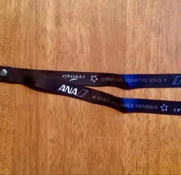 ANA 넥스트랩 (Star Alliance x Centrair)