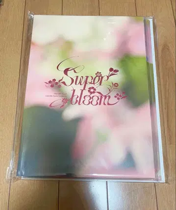 앙스타 스타포니 팜플렛