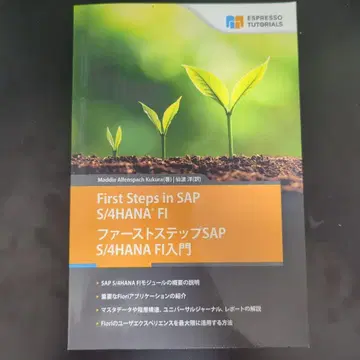 First Steps in SAP S/4HANA FI