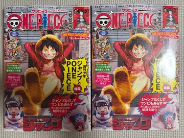 ONE PIECE magazine 원피스 매거진 2권