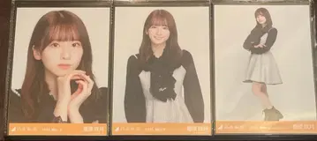 스가와라 사츠키 컴프 빅 보타이 블라우스