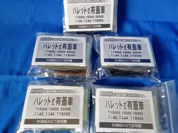 B 트레인 쇼티 와키