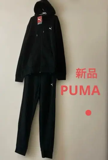 PUMA 맨투맨 상하의