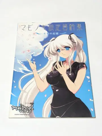 마비노기 설정 자료집 ~여신의 기억~