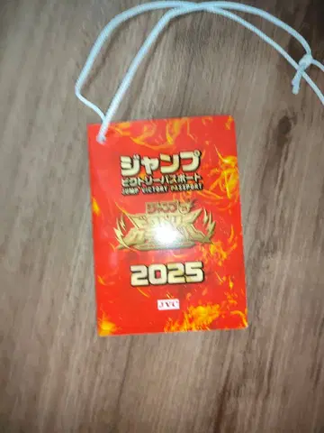 [ 즉시 발송 ] 점프 빅토리 카니발 여권 2025 점프 페스타 1