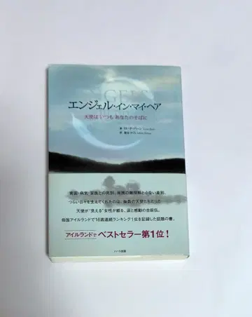 엔젤 인 마이 헤어