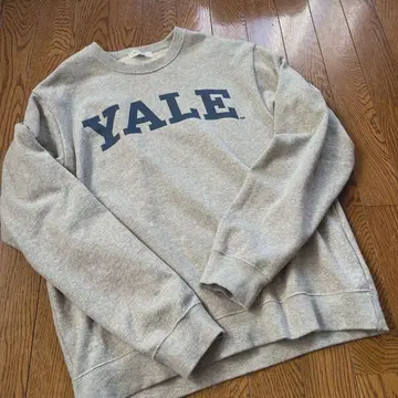 YALE 칼리지 맨투맨 트레이닝복 그레이 로고 트레이너