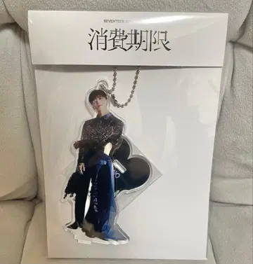 SEVENTEEN 소비기한 아크릴 스탠드 디노