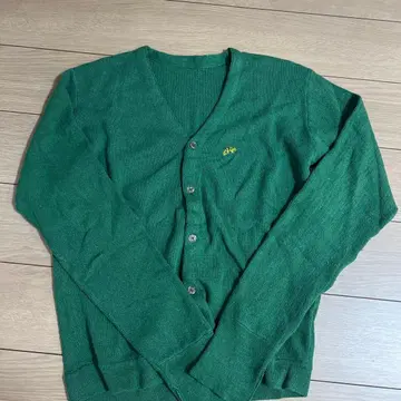 그린 카멜레온 자수 V넥 가디건