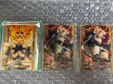 나의 히어로 아카데미아 히로아카 엔데버 호크스 스탯 카드