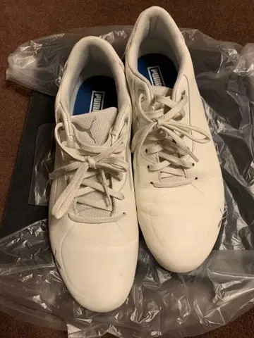 푸마 드라이빙 신발