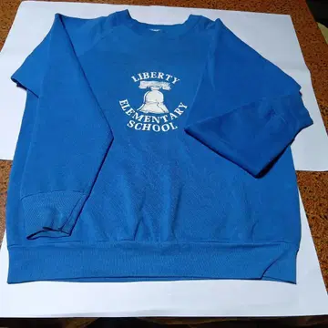 80년대 프룻 오브 더 룸 맨투맨 USA L 빈티지