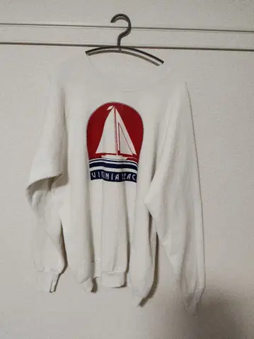 프룻 오브 더 룸 맨투맨 사이즈 XL 90~00s