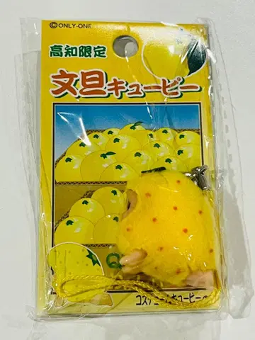 [ 미개봉 새상품 ] 큐피 QP 스트랩 고치 한정판 문단 코스튬