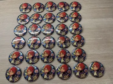 앙스타 츠키나가 레오 시광 캔뱃지 31개