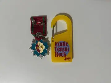 NEE 카라비너 훈장 배지 세트