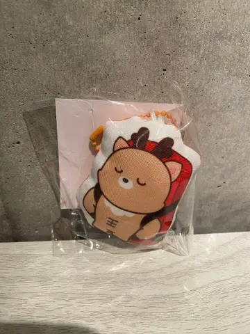 [ 미개봉 새상품 ] SUNGCHAN 성찬 RIIZE