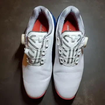 브릿지스톤 골프화 화이트/레드/블루