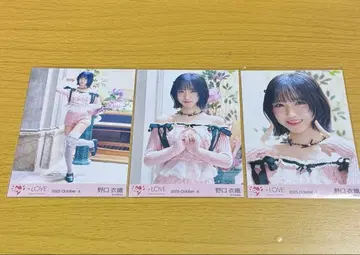 노구치 이오리 러브송에 습격당하다 핑크 니트 브로마이드 컴프