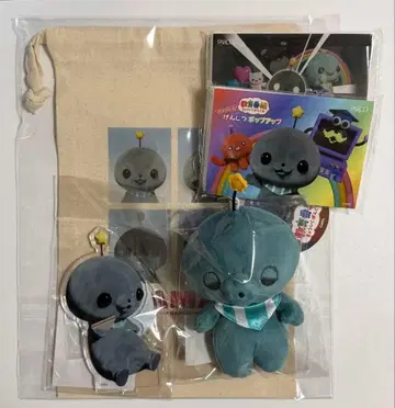 교육 방송 더! 켄지 팝업 굿즈 5종 세트