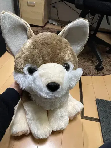 모후토 늑대 와일드 봉제 인형 BIG 쟈칼