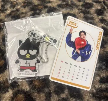 treasure 하루토 트레이딩 카드 2026년도 보물과 함께 하피단부이