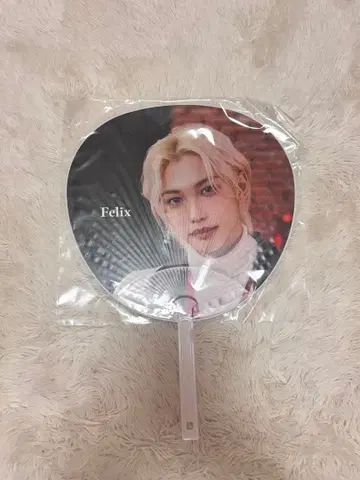 straykids 필립 필리 부채