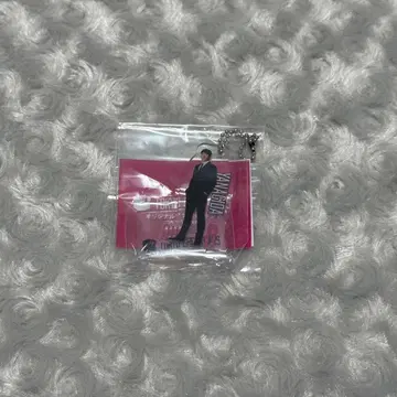 그레베어 야나기타 마사히로 베어 가챠 아크릴 스탠드 키링