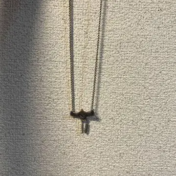 Big-Up Collection 목걸이