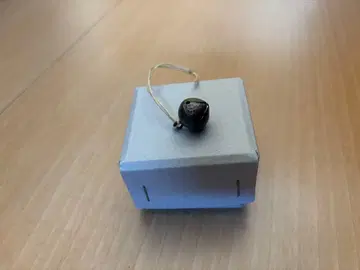 이소가와 쿠미코 은령