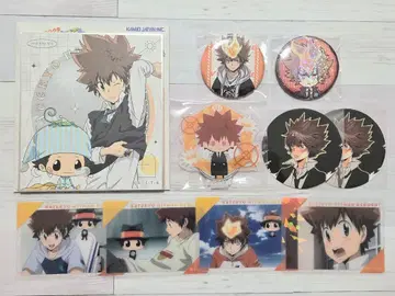 가정교사 히트맨 REBORN! 사와다 츠나요시 굿즈 10점