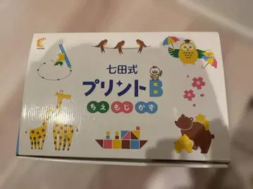 시치다식 프린트 B