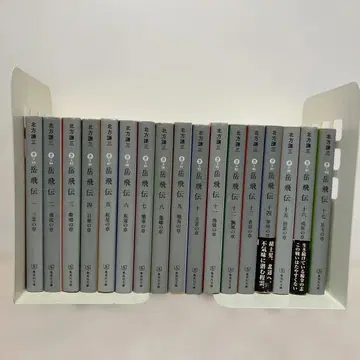 악비전 문고판 전권 세트