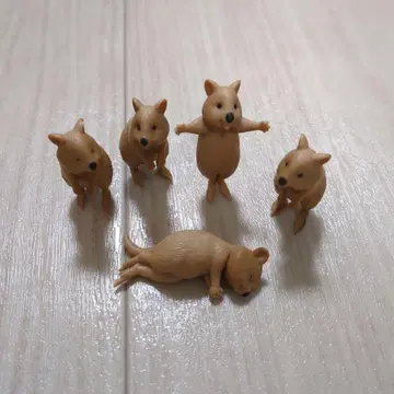 콰카 왈라비 전 5종류 캡슐 토이