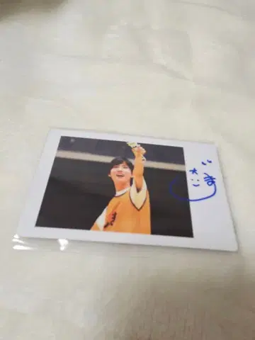 나나 크로니클 DD 운동회 시마 하피카 사인입