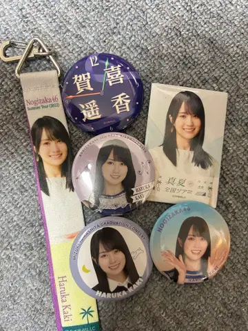 카키 하루카 핀 배지 5개 세트