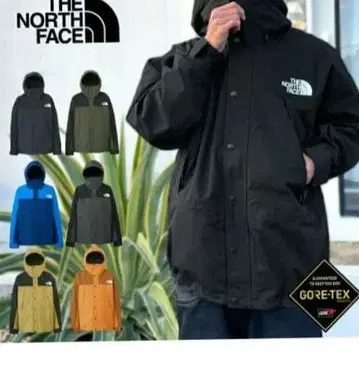 THE NORTH FACE GORE-TEX 마운틴 라이트 자켓