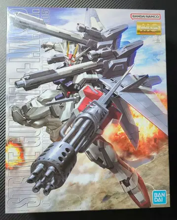 MG 스트라이크 건담+I.W.S.P.