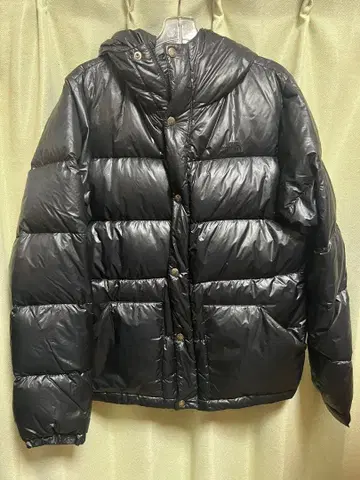 THE NORTH FACE 시에라 숏 후디 블랙