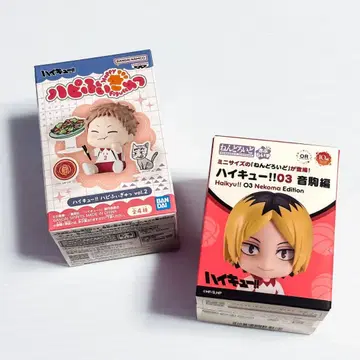 하이큐 야쿠 모리스케 하피 피규어 & 넨도로이드 서프라이즈
