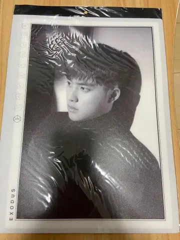 EXO D.O. 경수 멀티 클리어 파일