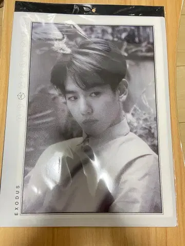 EXO 백현 멀티 클리어 파일