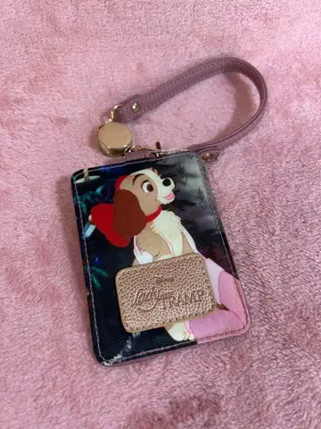 개구쟁이 이야기 레이디 패스 케이스