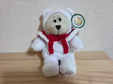 홀리데이 2019 베어리스타 걸