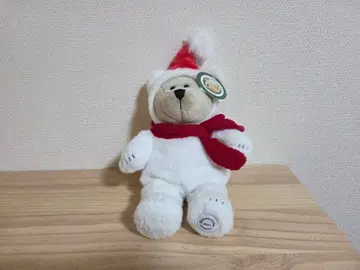 홀리데이 2021 베어리스타 보이