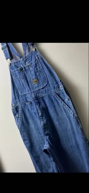 빅 스미스 페인터 와이드 오버롤