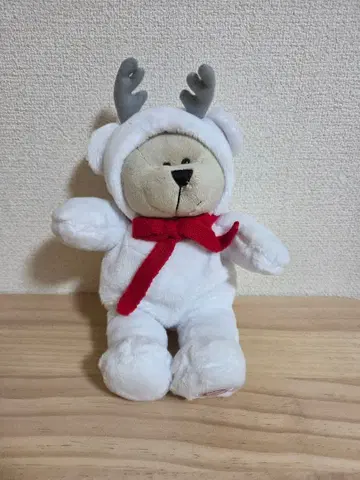 홀리데이 2019 베어리스타 보이