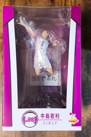 해피복권 제일복권 Last상 우시지마 와카토시 피규어