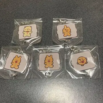 bt21 라인프렌즈 연결 아크릴 참 5개 세트