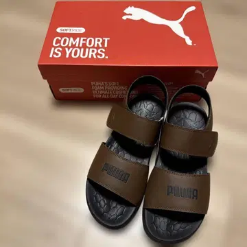 푸마 샌들 브라운